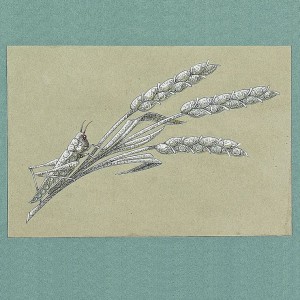 Preparatory sketch of a grasshopper on a sheaf of wheat brooch Never-seen-before archival sketch of a grasshopper on a sheaf of wheat brooch, Chaumet 1890